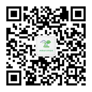 CA88(中国区)官方网站入口